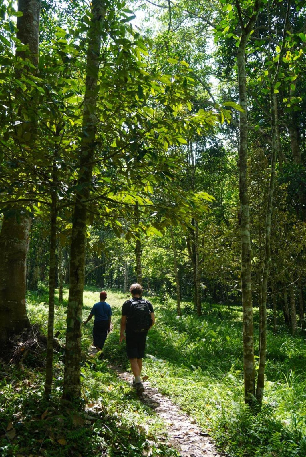 Tetebatu Indah Homestay ภายนอก รูปภาพ