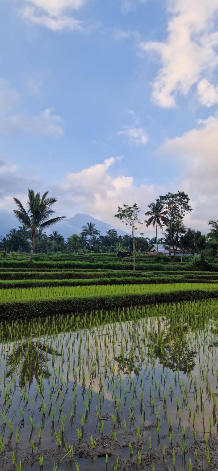 Tetebatu Indah Homestay ภายนอก รูปภาพ