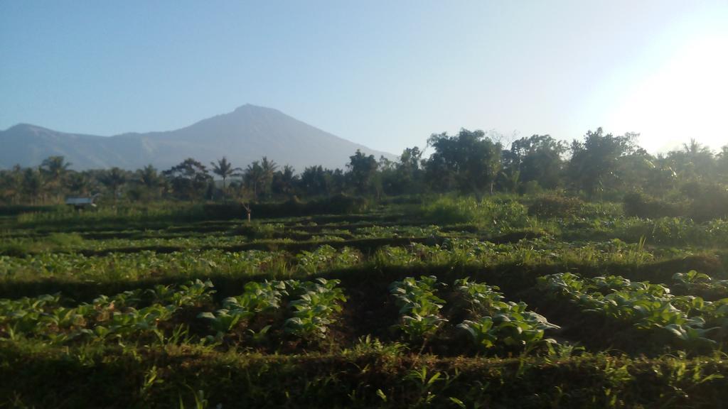 Tetebatu Indah Homestay ภายนอก รูปภาพ