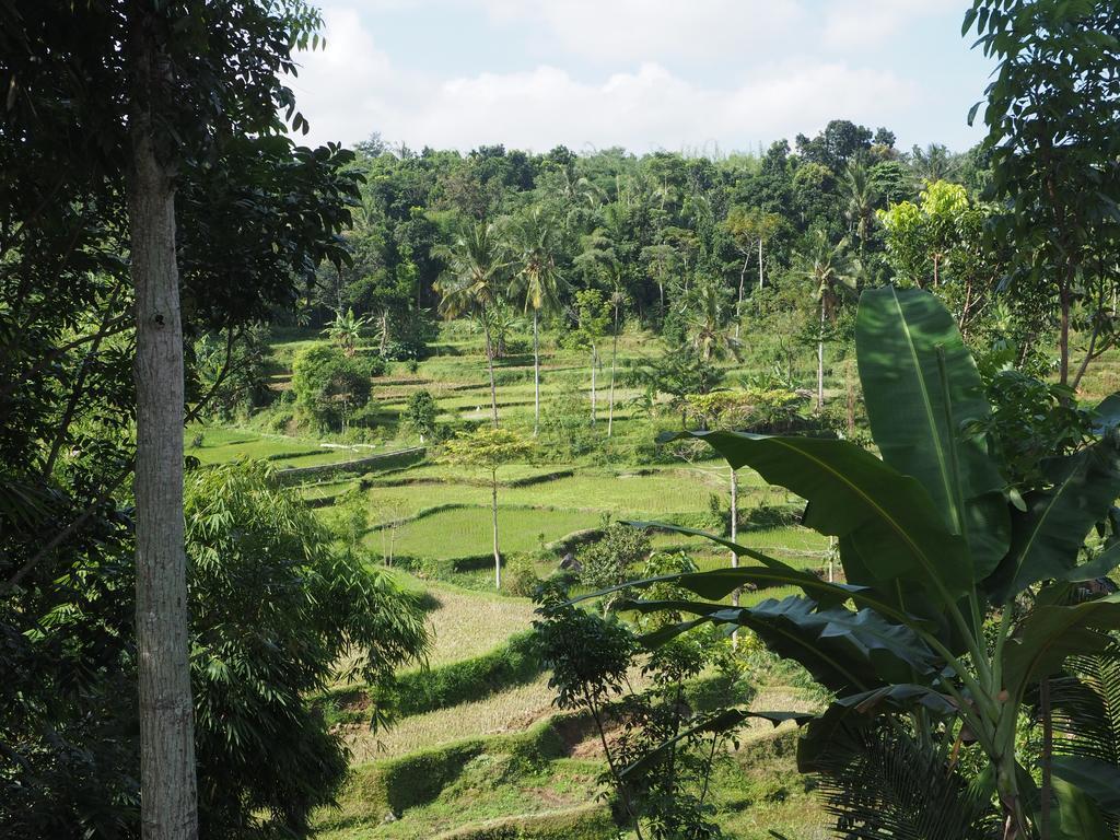 Tetebatu Indah Homestay ภายนอก รูปภาพ